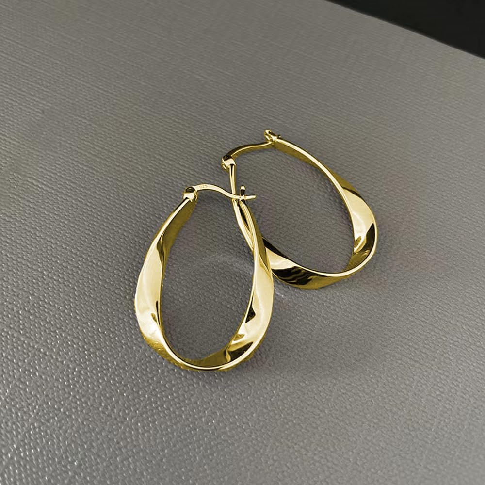 Oval Loop Earrings