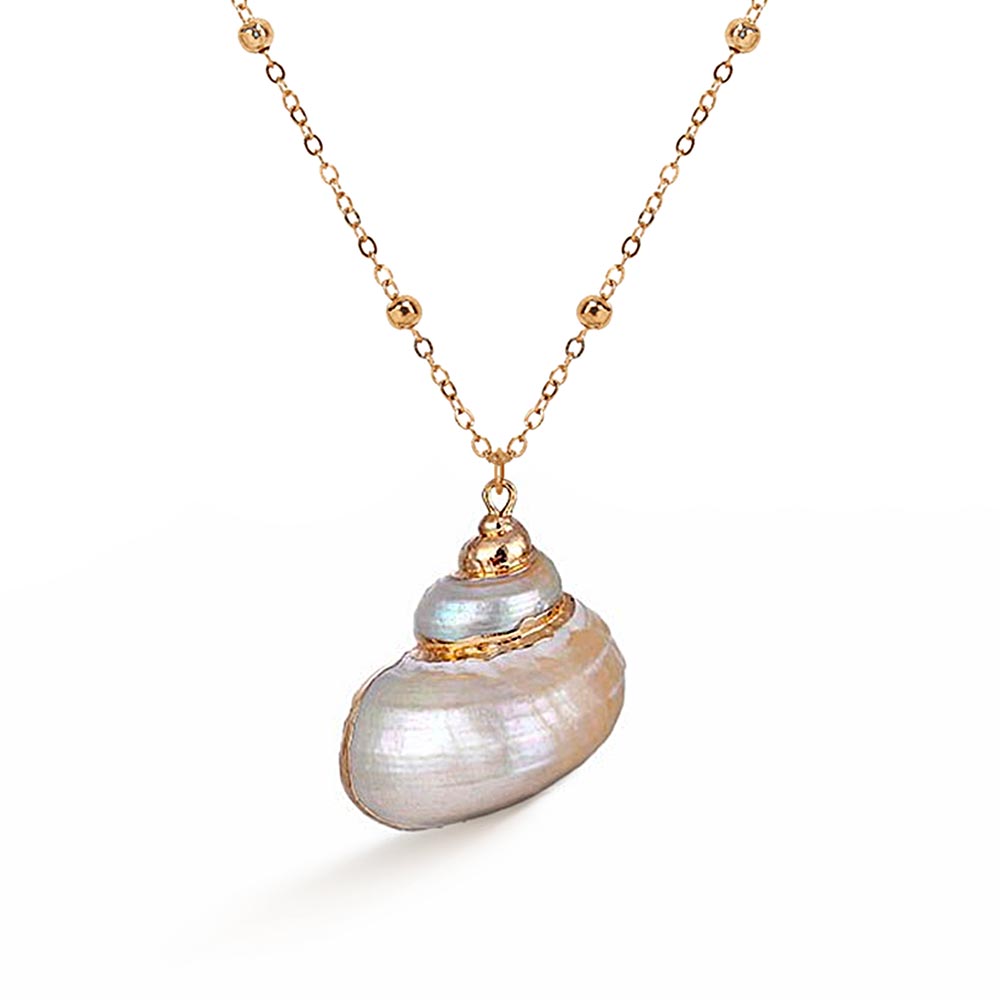 Kintsugi Shells