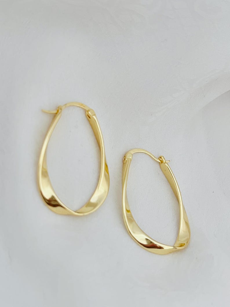 Oval Loop Earrings