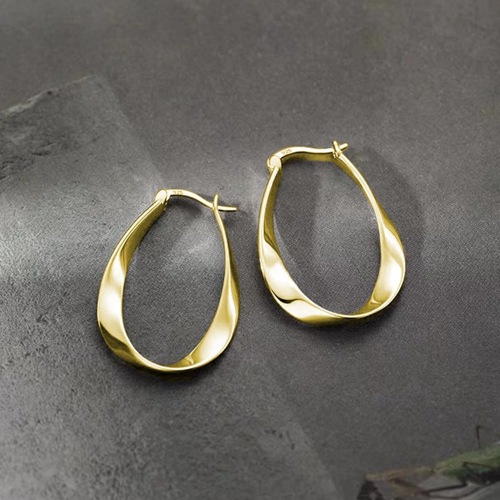 Oval Loop Earrings
